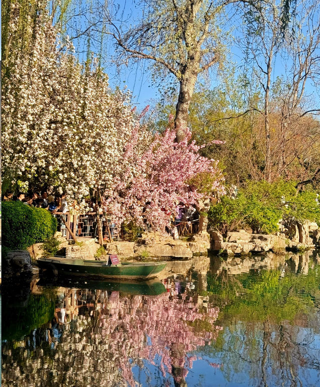 濟南五龍潭公園，靚到突破天際啦！原圖直出嘅春日盛宴
