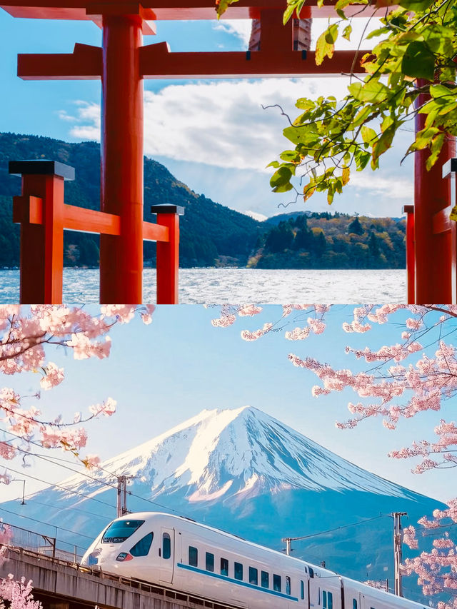 度假天花板