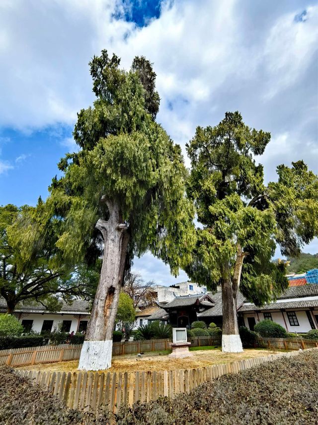 三月長汀文廟風景區旅遊攻略