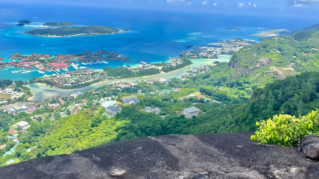 塞舌尔海洋公园，一日邂逅海底精灵。