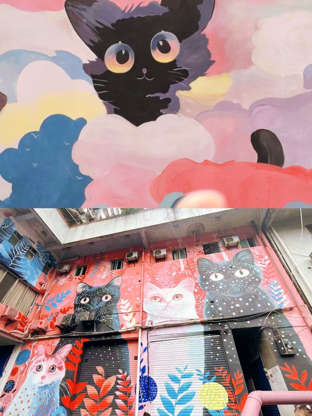 自貢親子遊 | 影相打卡📸不停！