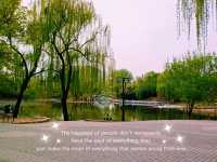 Purple Bamboo Park in Beijing: Pure Tranquility Hideout