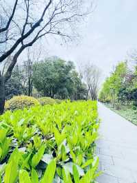 西安～高新區嘅中央公園