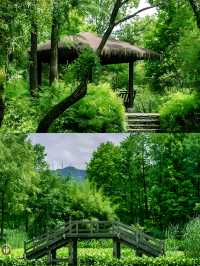 杭州西溪國家濕地公園超全旅遊攻略