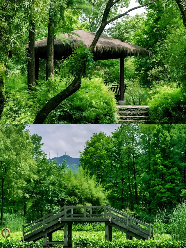 杭州西溪國家濕地公園超全旅遊攻略