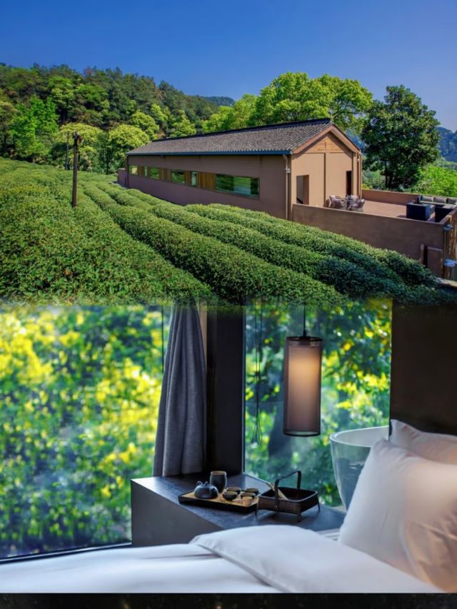 杭州龍井茂居，入住昆凌同款酒店