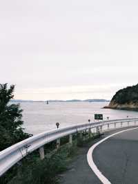 🌸伊江島賞櫻攻略：離島上的粉色浪漫✨
