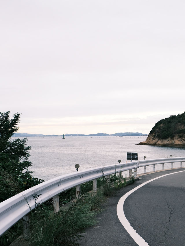 🌸伊江島賞櫻攻略：離島上的粉色浪漫✨