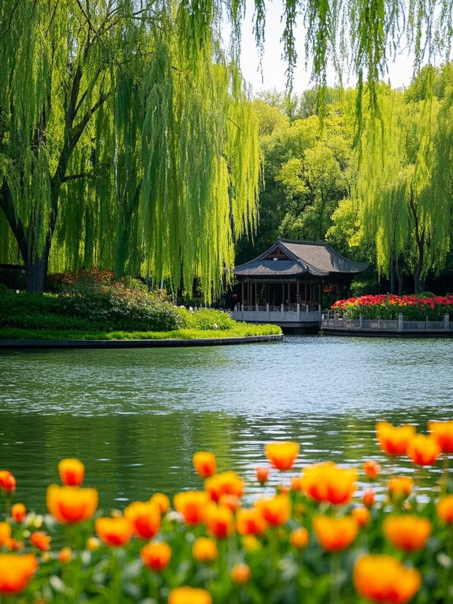 必看！煙台旅遊避坑全攻略，速藏