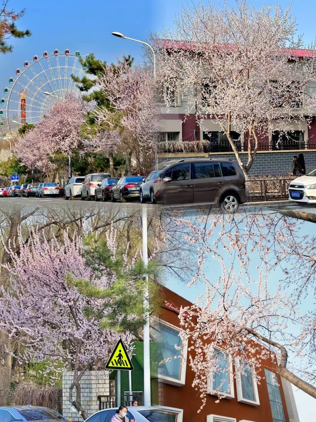 去長春玩了3天2夜，熬夜總結了一篇旅遊攻略