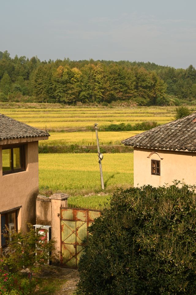 安徽碧山村民宿 | 皖南初秋入住過的鄉村民宿
