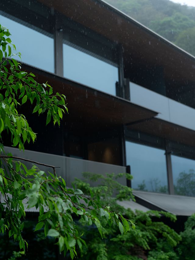 臨安潛川 | 雨天好適合躺在山裡