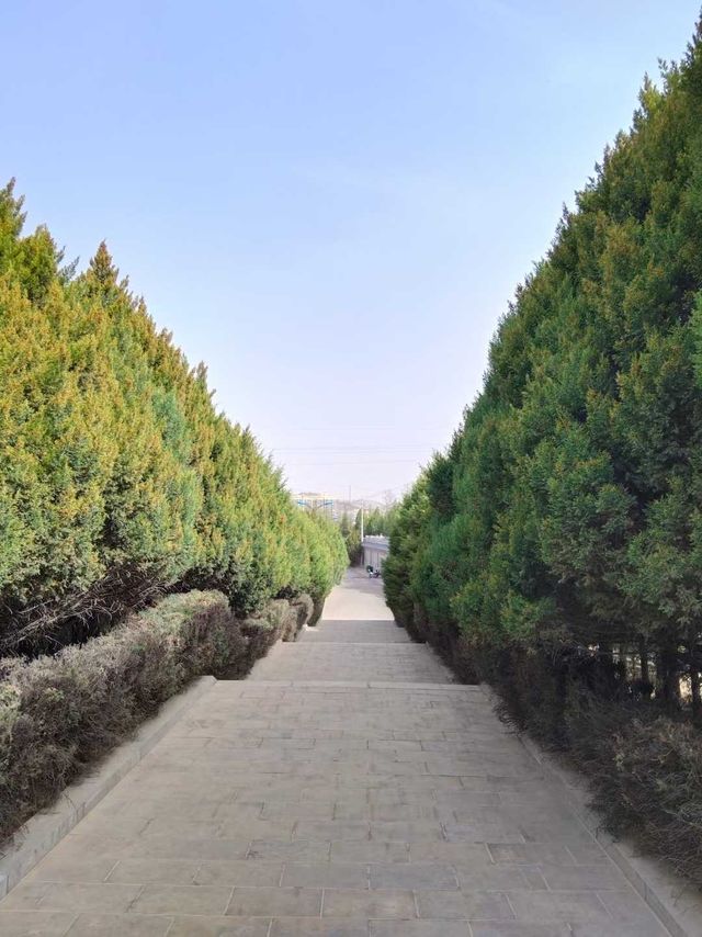 山西呂梁柳林旅遊攻略