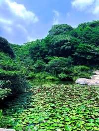 金庸筆下嘅小島/桃花島
