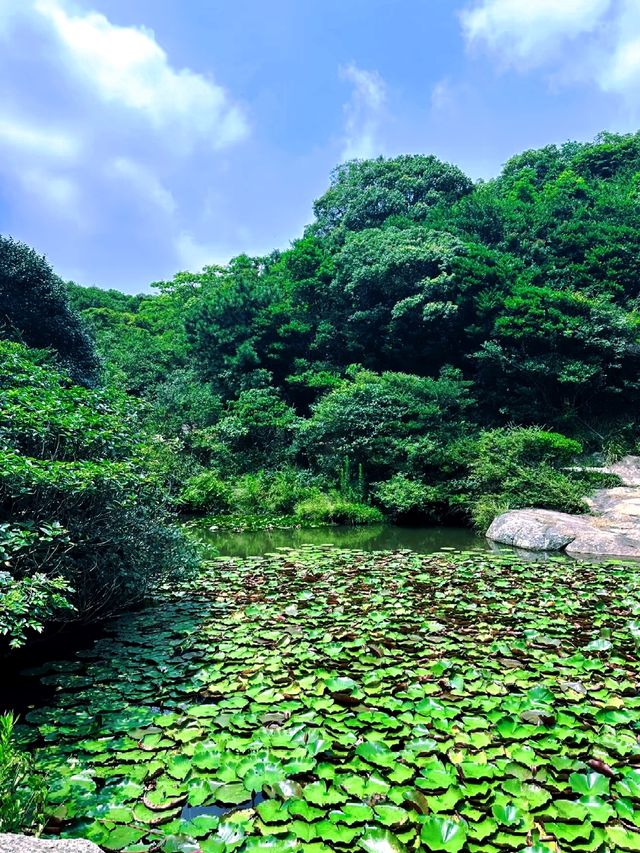 金庸筆下嘅小島/桃花島