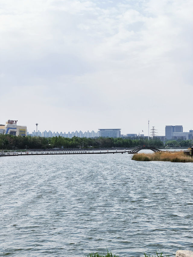 北京出發｜東營2日遊超全攻略