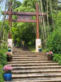 牛手山 - Nanjing - Stroll throught nature
