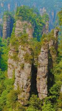 [Rose] 感受山川靈韻：探索奇妙張家界嘅高能量一日遊