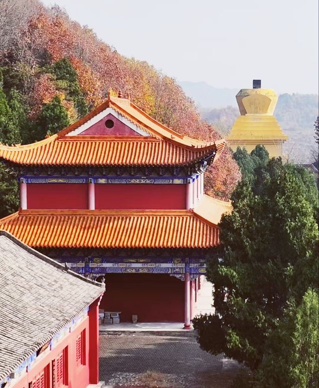 唐山遵化禪林寺古銀杏風景園參觀攻略
