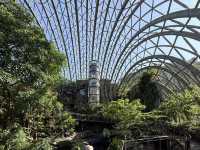 Budget Friendly Pandas At Taipei Zoo! Fun For All The Family 