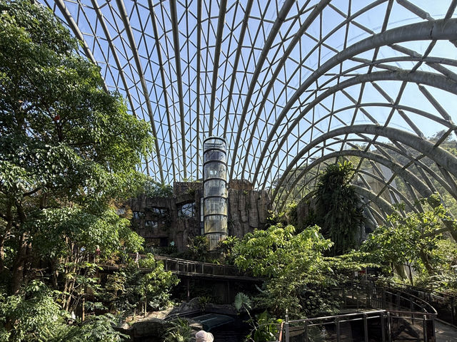 Budget Friendly Pandas At Taipei Zoo! Fun For All The Family 