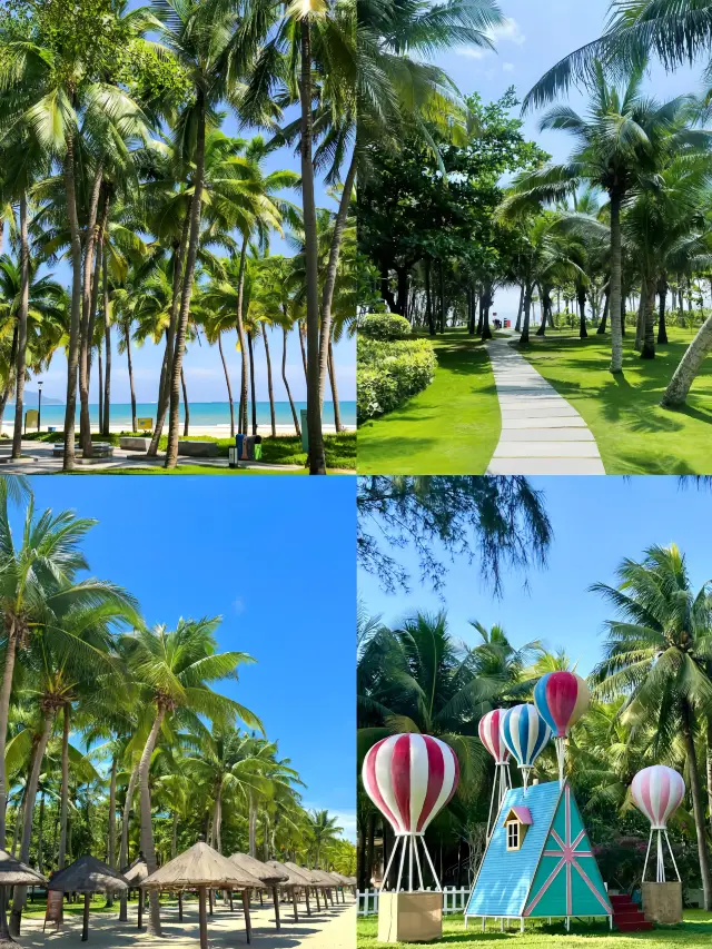 去海南三亞,建議你先做這五件事