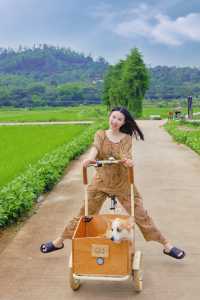 珠海寵物友善民宿又升級啦~ 真係好舒服！