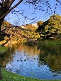 東京小石川後樂園交通攻略：輕鬆抵達江戶風情的日式庭園  