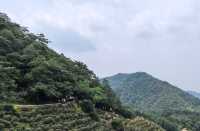 2025夏日杭州必去景點推薦一日遊攻略來啦！