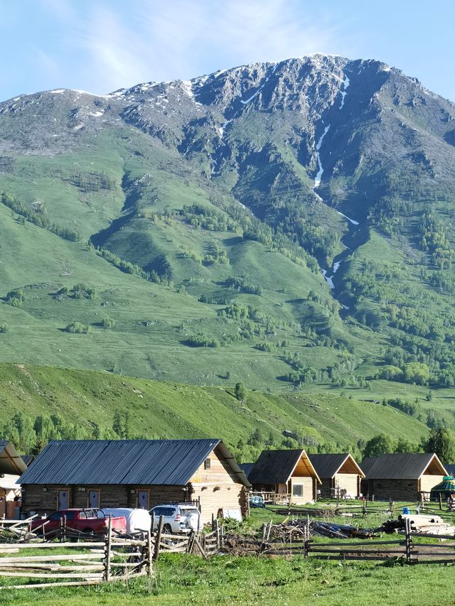禾木：喀納斯的後花園、白樺林裡的古村落