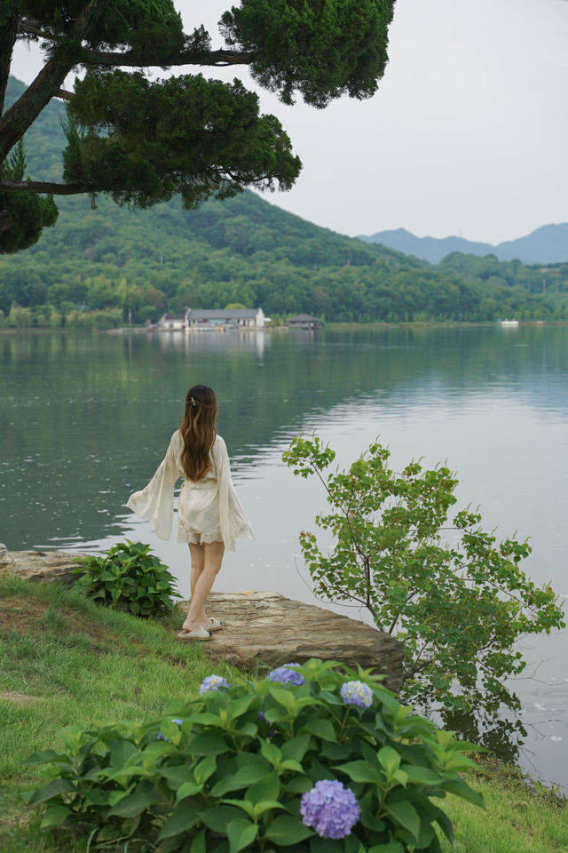 江浙滬staycation｜寵物友善嘅隱奢秘境！