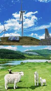 【龍里油畫大草原1日遊攻略】貴州版"瑞士山坡"！