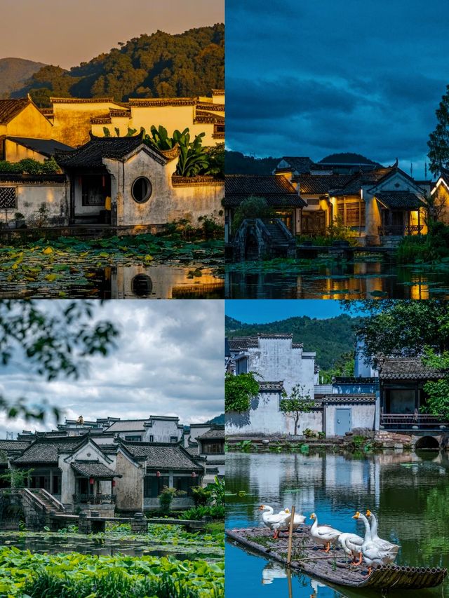 26℃夏｜我承認呢個暑假嚟黃山係最正確嘅選擇