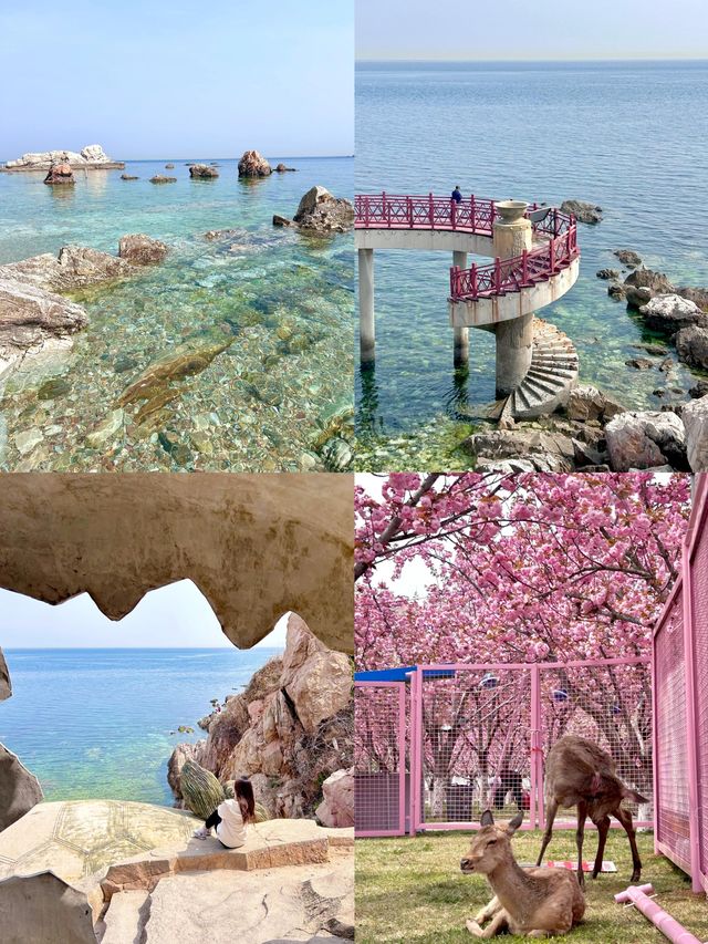 更適合中國寶寶體質嘅馬爾代夫— 養馬島