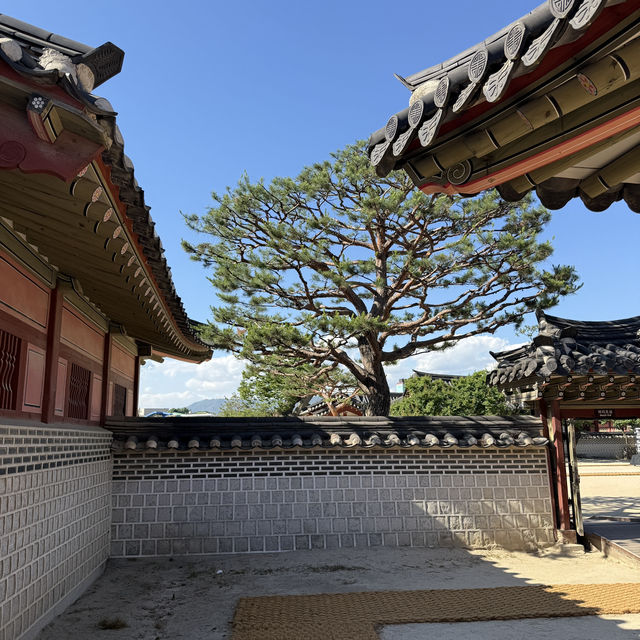 우리나라에 몇 없는 행궁이 수원에 있어요‼️