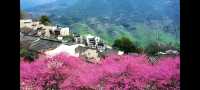 邂逅篁嶺，赴一場夢幻的田園之約   踏入篁嶺，彷彿穿越時空，走進了一幅被歲月珍藏的江南畫卷。連綿的山