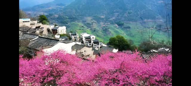 邂逅篁嶺，赴一場夢幻的田園之約   踏入篁嶺，彷彿穿越時空，走進了一幅被歲月珍藏的江南畫卷。連綿的山