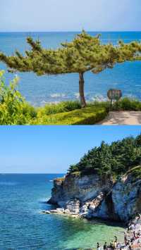 養馬島已回我只想講啲大實話……