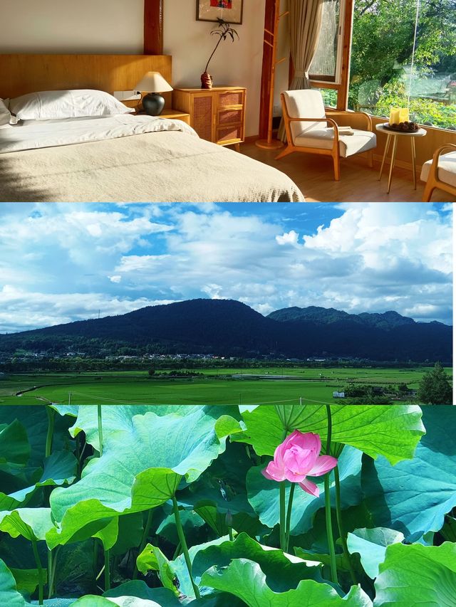 在蒲密荷畔山舍，解鎖100種放空的鬆弛感