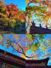 老實難聽，但呢個就係南京旅遊嘅真實狀況。。。