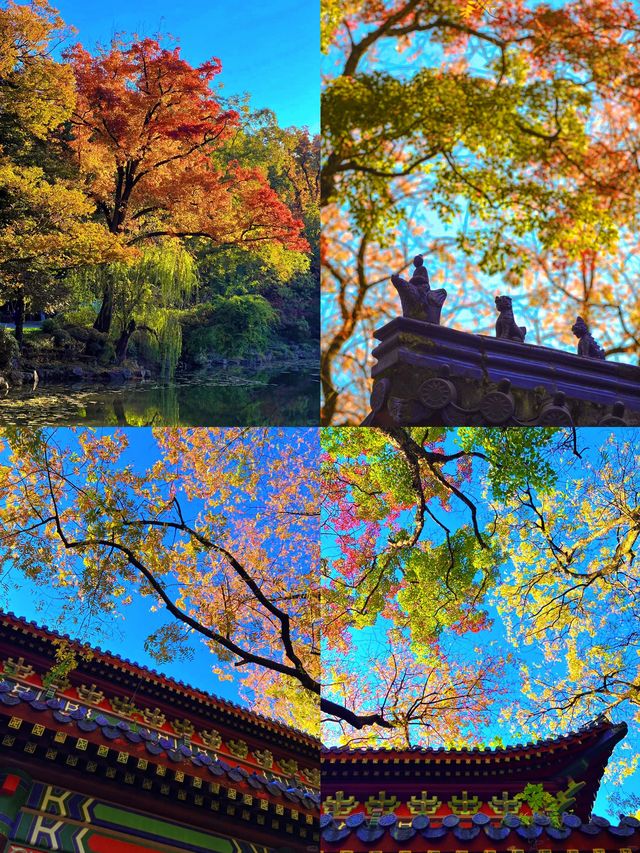 老實難聽，但呢個就係南京旅遊嘅真實狀況。。。