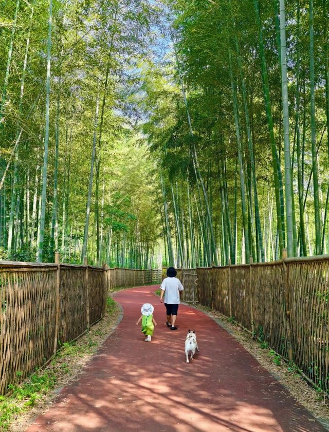 夏日玩水樂趣江浙滬周邊，最愛嘅溯溪露營寶藏地