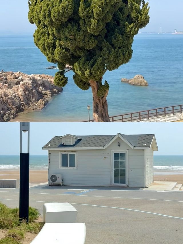 夏日限定版！｜青島3日2夜超全攻略｜啤酒海鮮&絕美海岸線
