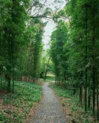 南寧狮山公園拍照秘境分享