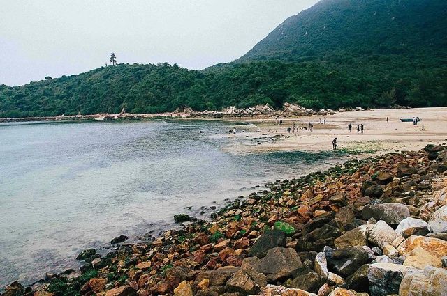 楊梅坑一日遊：邂逅山海間的夢幻奇景