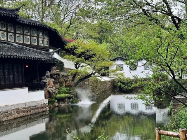 去咗4次拙政園，終於玩到明！