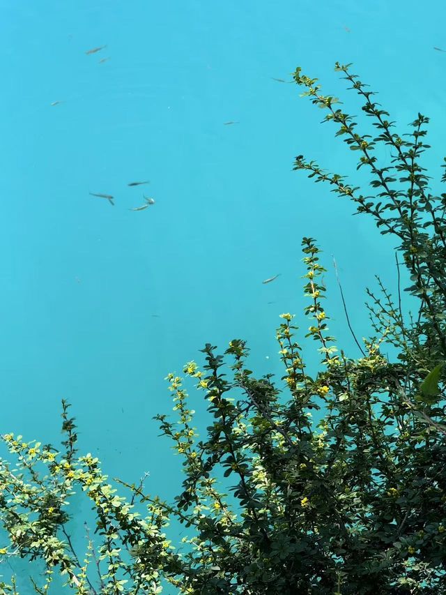 週末計劃｜成都周邊遇見山川湖海