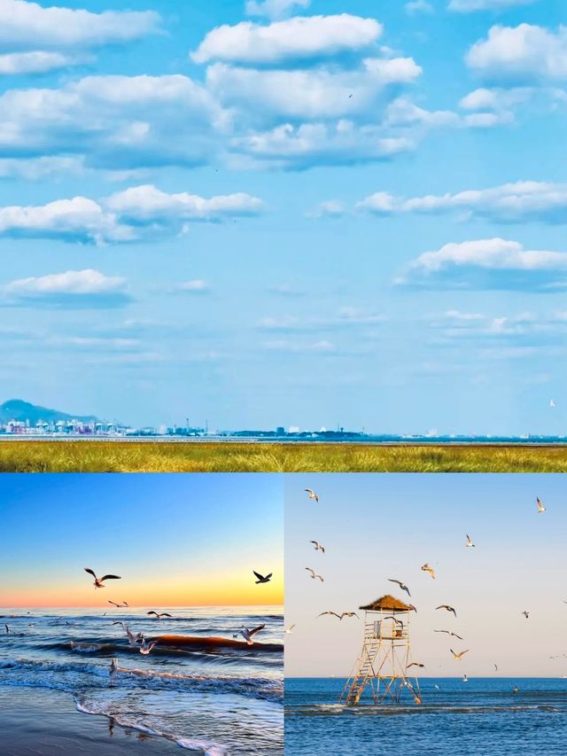 秦皇島2日遊｜原來北方的海，藏著這麼多不為人知的浪漫！