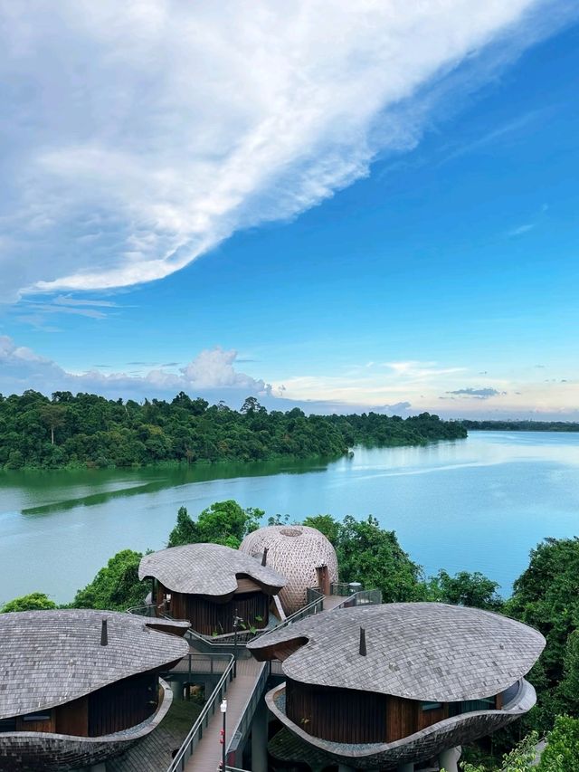 Banyan Tree Mandai Rainforest Resort ♥️