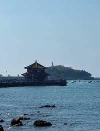 青島七日遊玩攻略來了